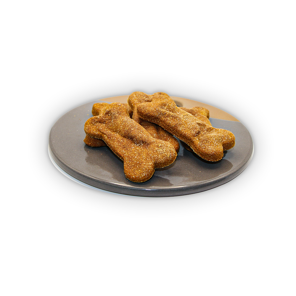 Pumpkin Dog Biscuit